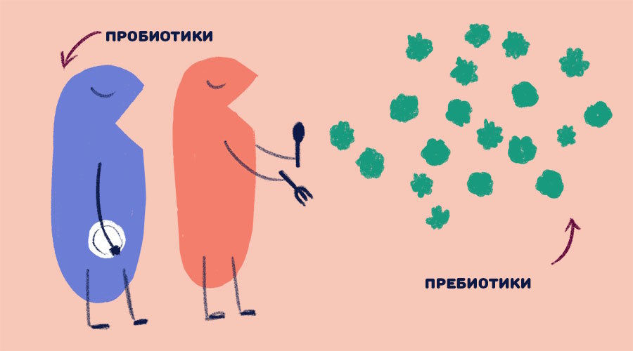 Как восстановить микрофлору кишечника после антибиотиков